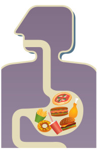 Digestion